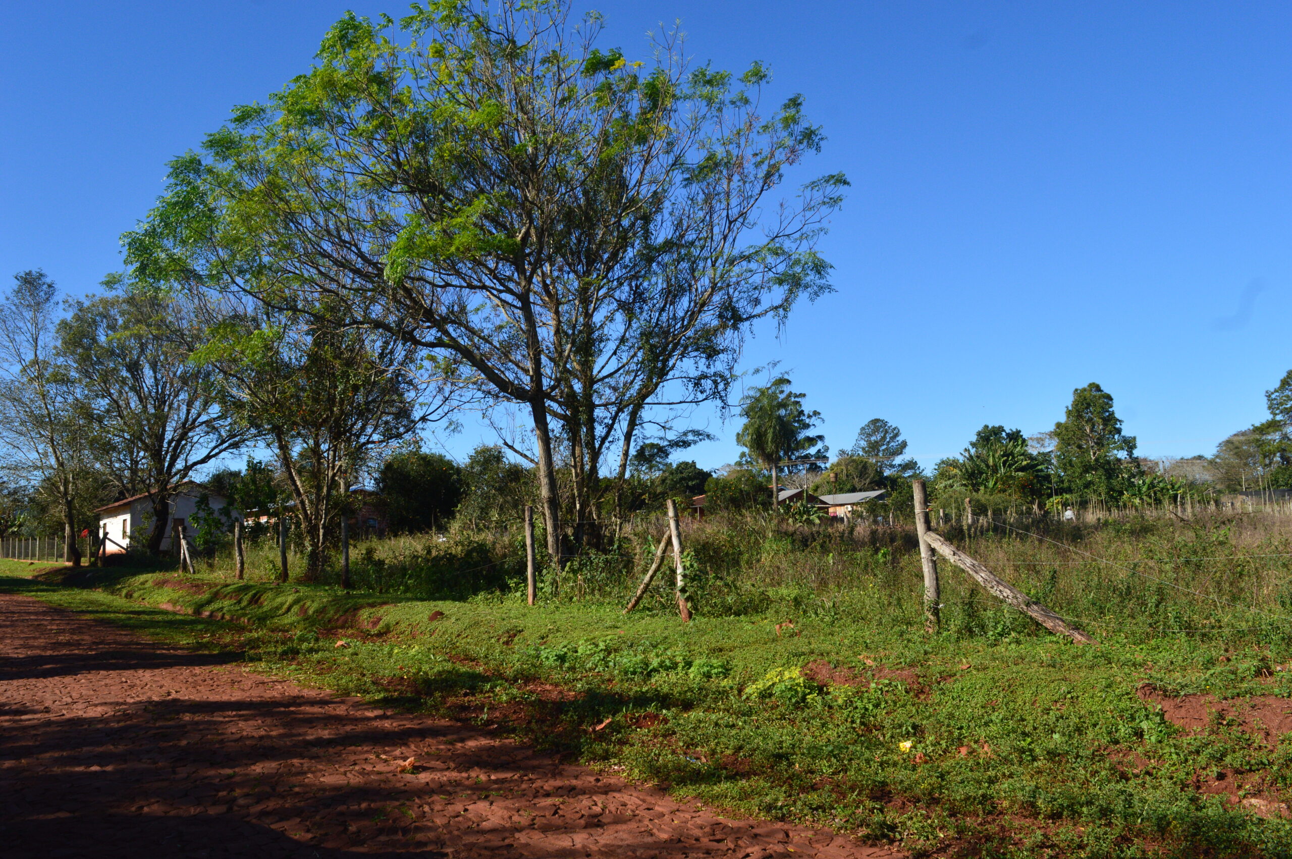 Terreno Hohenau – Itapúa