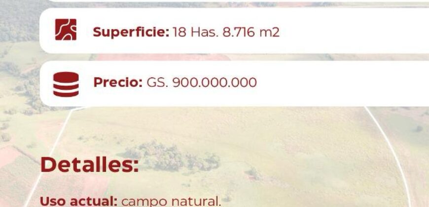 Terreno